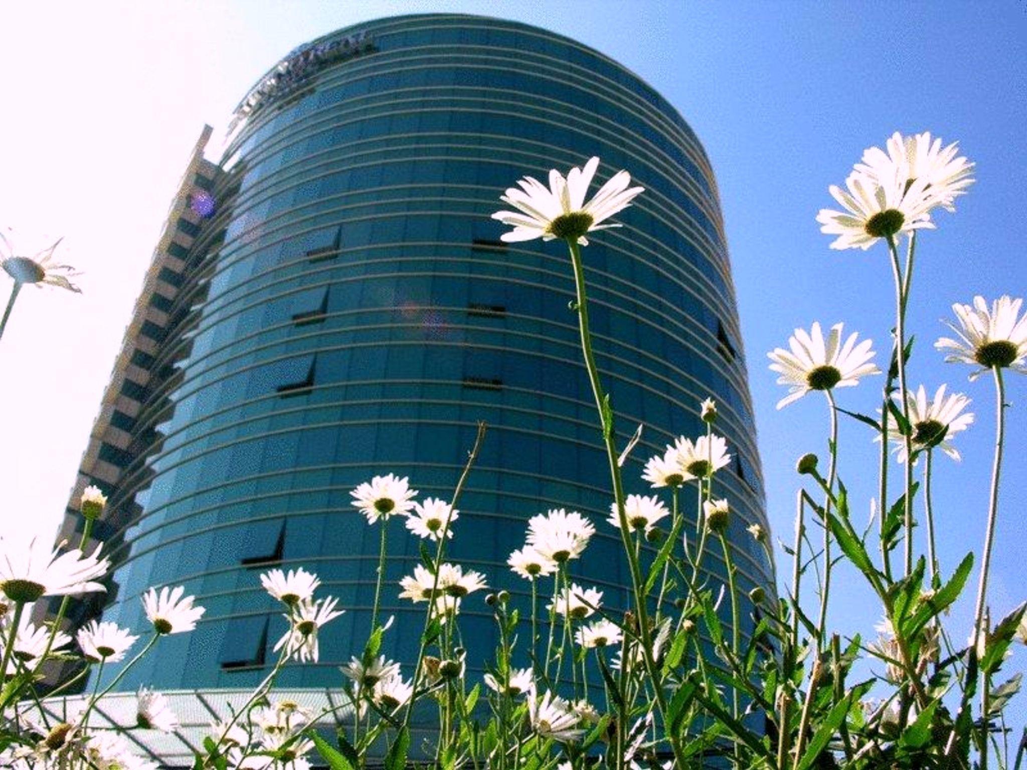 Suites Camino Real La Paz Zewnętrze zdjęcie